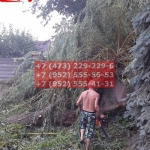 IMG-20191025-WA0706