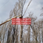 IMG-20200508-WA0003
