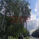 2020-06-29 21-54-13