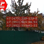 IMG-20191025-WA0667