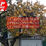 IMG-20191025-WA0672