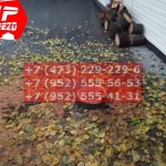 IMG-20191025-WA0679