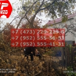 IMG-20191029-WA0076