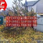 IMG-20191029-WA0078