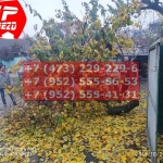 IMG-20191029-WA0109